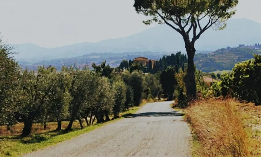 Countryside road after watermark removal