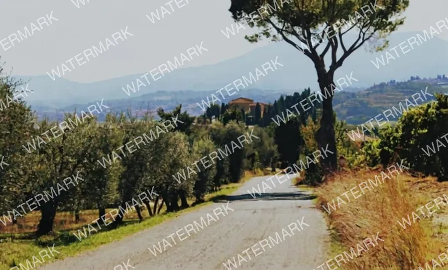 Countryside road with a watermark